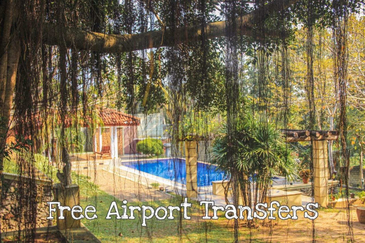 Airport Green Olive Villa Katunayaka Bagian luar foto